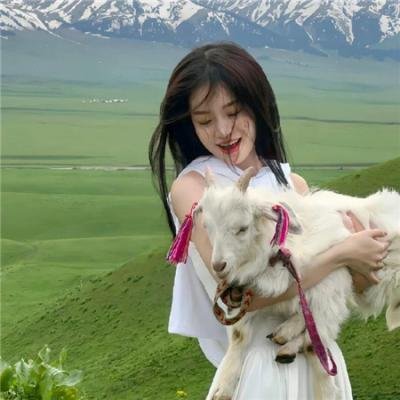 码头证人海报