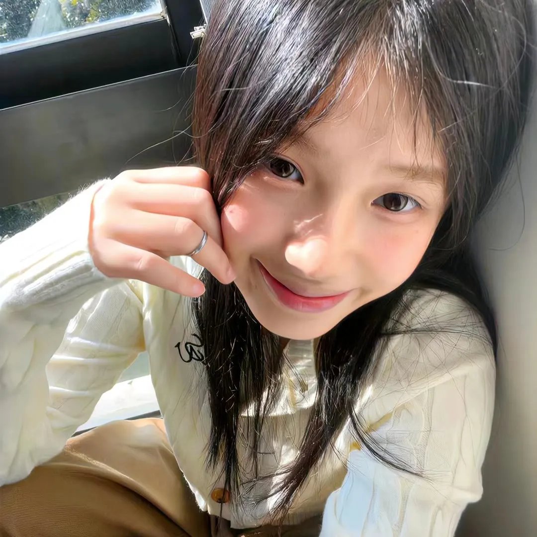 免费版·北城证人2025海报